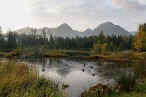 Континентальний клімат Континентальний клімат